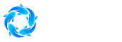 在线观看的av